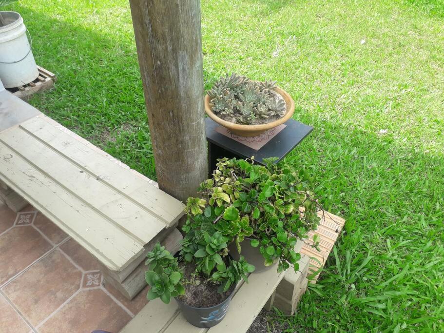 Casa Proximo A Praias, Trilhas E Cachoeiras. กาโรปาบา ภายนอก รูปภาพ